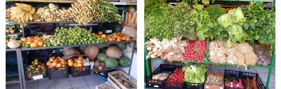 Fruit & Vegtables, Puerto Vallarta.