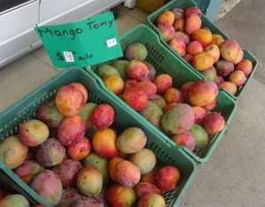 Mexican Mangos, Puerto Vallarta.