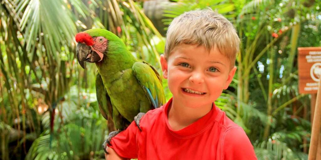 Boy with Macaw at La Caletas, Puerto Vallarta.