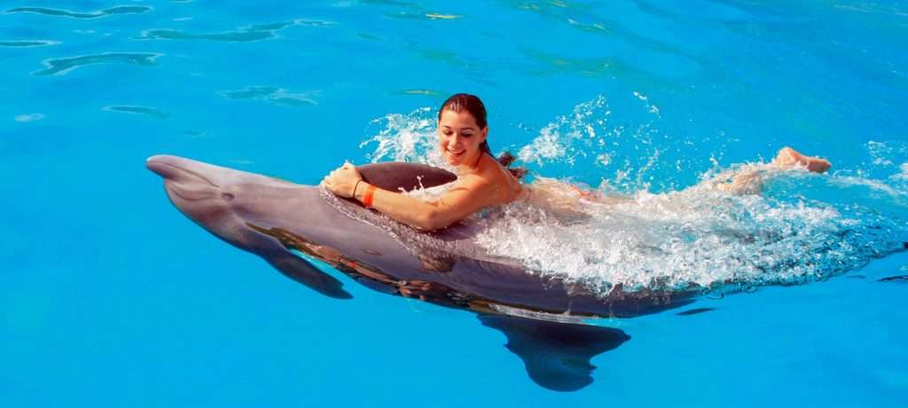 Girl swimming with a dolphin in Vallarta, Mexico