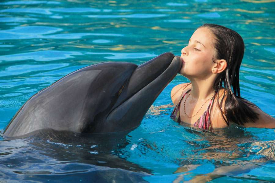 Kissing Dolphin.