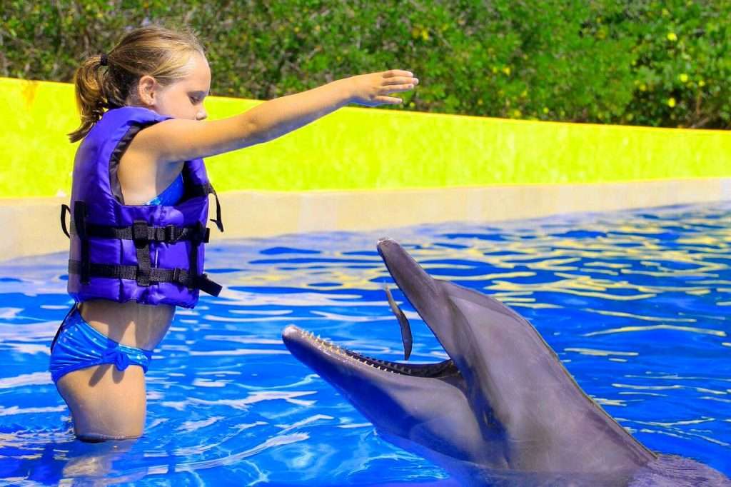 Girl feeding a Dolphin in Vallarta.