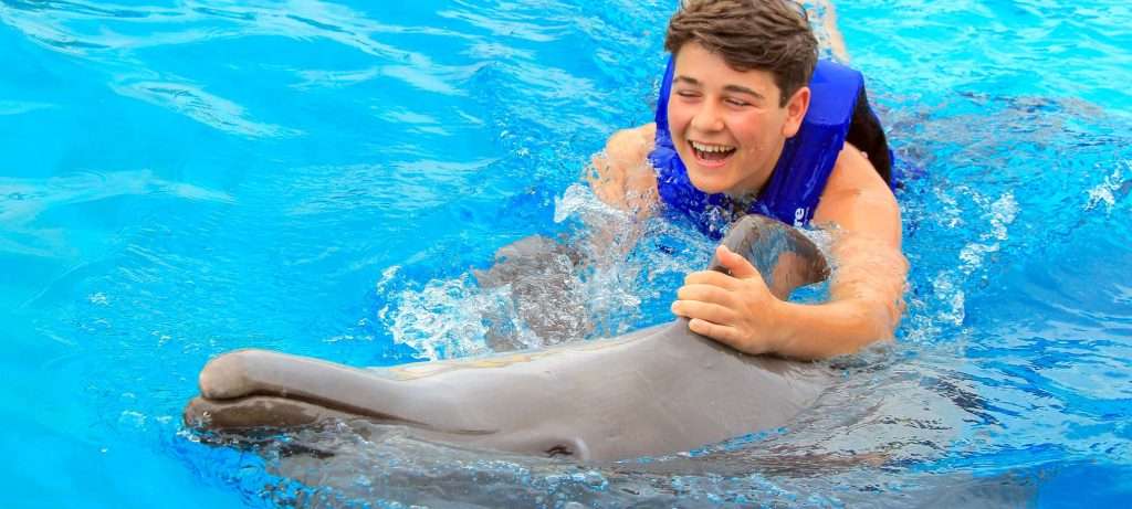 dolphin swimming in Vallarta, Mexico