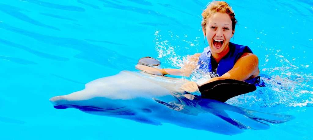 A dolphin swim in Puerto Vallarta