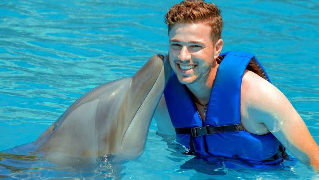 Friendly dolphin in Vallarta, Mexico