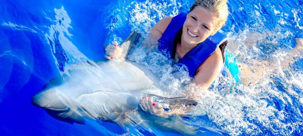 Puerto Vallarta dolphin swim.
