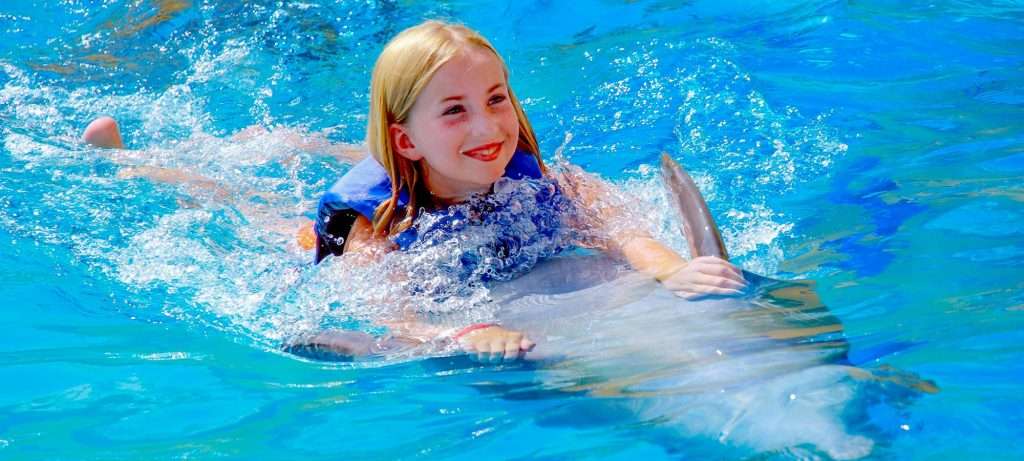 Vallarta dolphin swim in Vallarta, Mexico