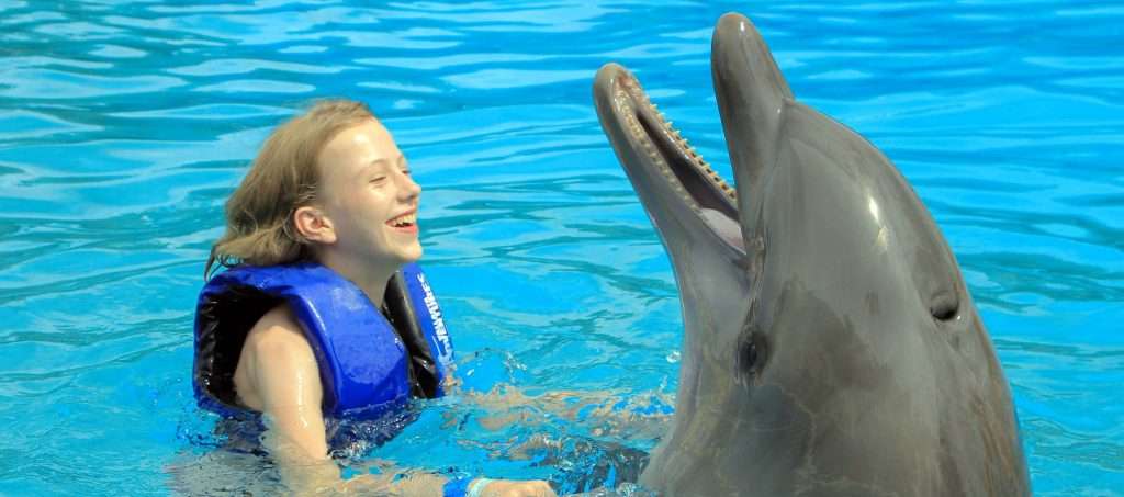 Laughing Dolphin in Vallarta, Mexico