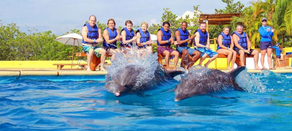 Group watching dolphins in Vallarta, Mexico