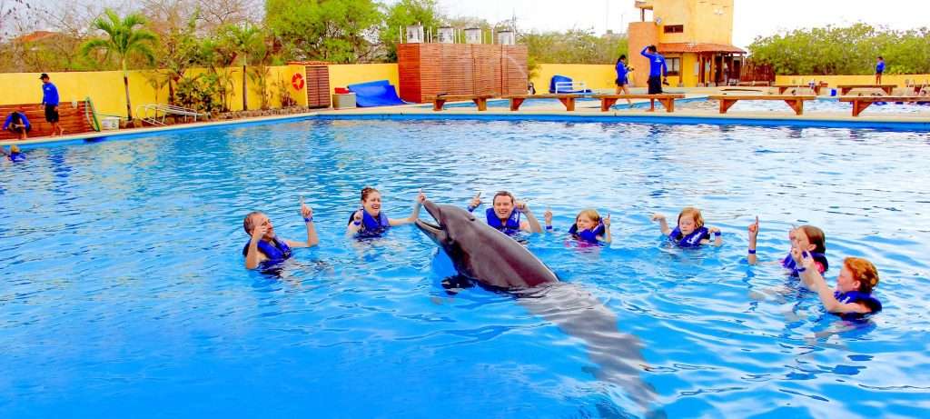 Group with a dolphin in Vallarta.