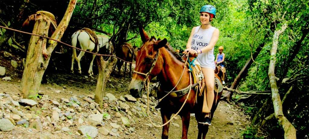 Mule ride at River Canopy in Vallarta, Mexico