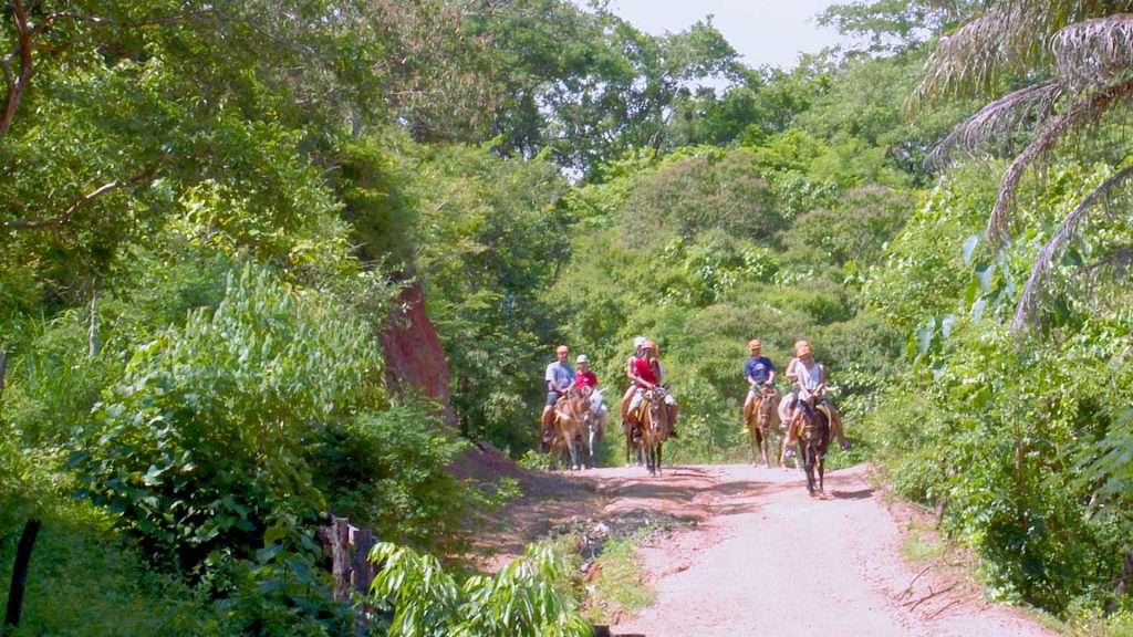 Mules at River Canopy, Vallarta.
