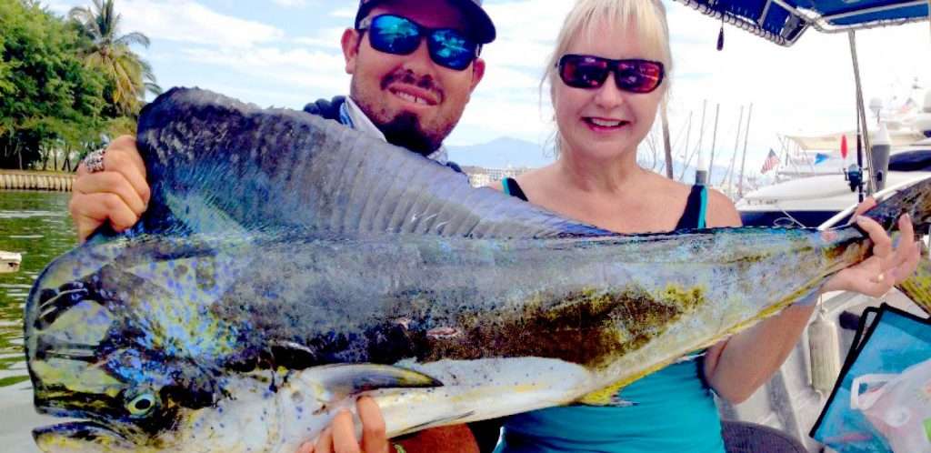 Mahi Mahi fishing in Banderas Bay.