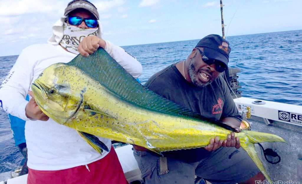 Mahi Mahi in Vallarta, Mexico.