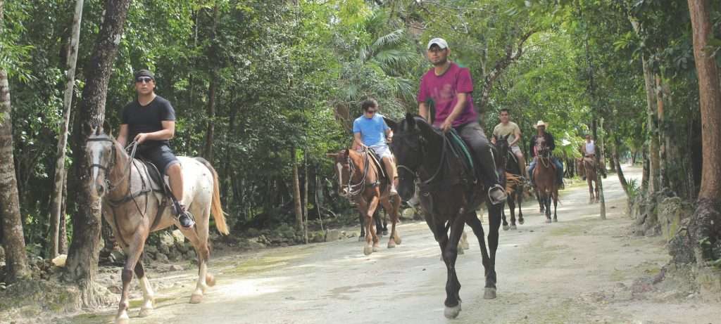 Horses in Vallarta, Mexico.