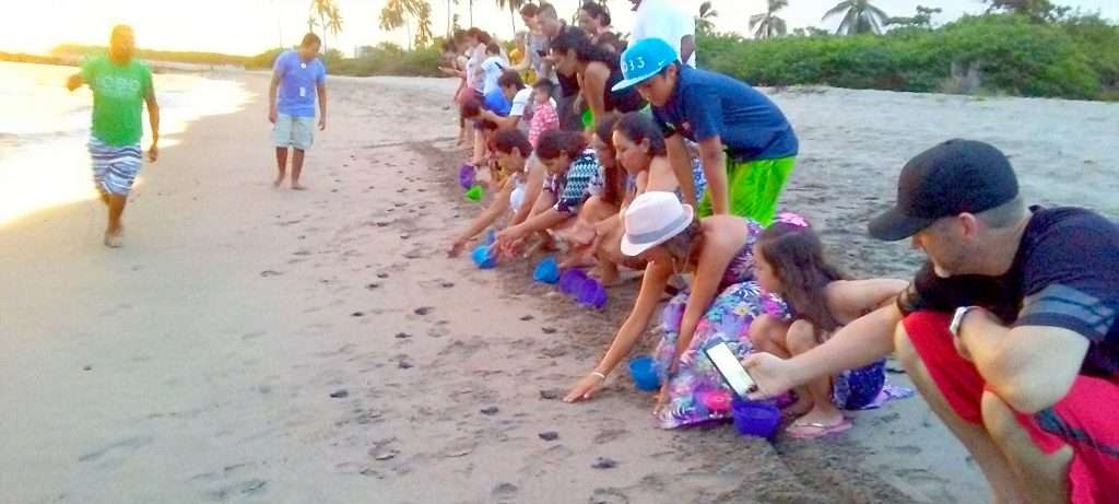 Letting free baby turtles in Vallarta, Mexico.
