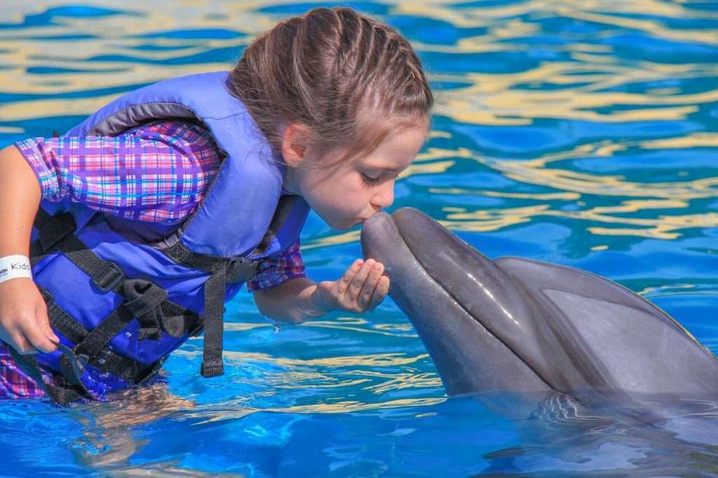Child kissing a dolphin in Vallarta.
