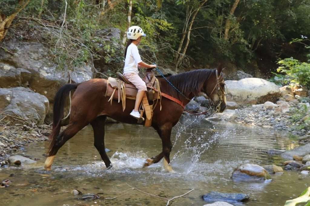 Boy on horse crossing a river in Vallarta.