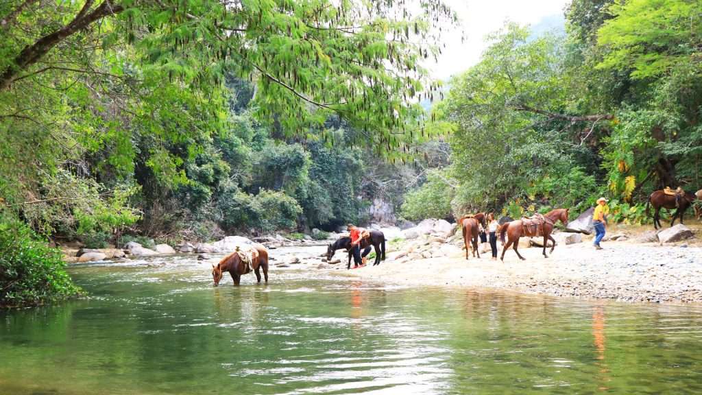 Vallarta horseback crossing river.