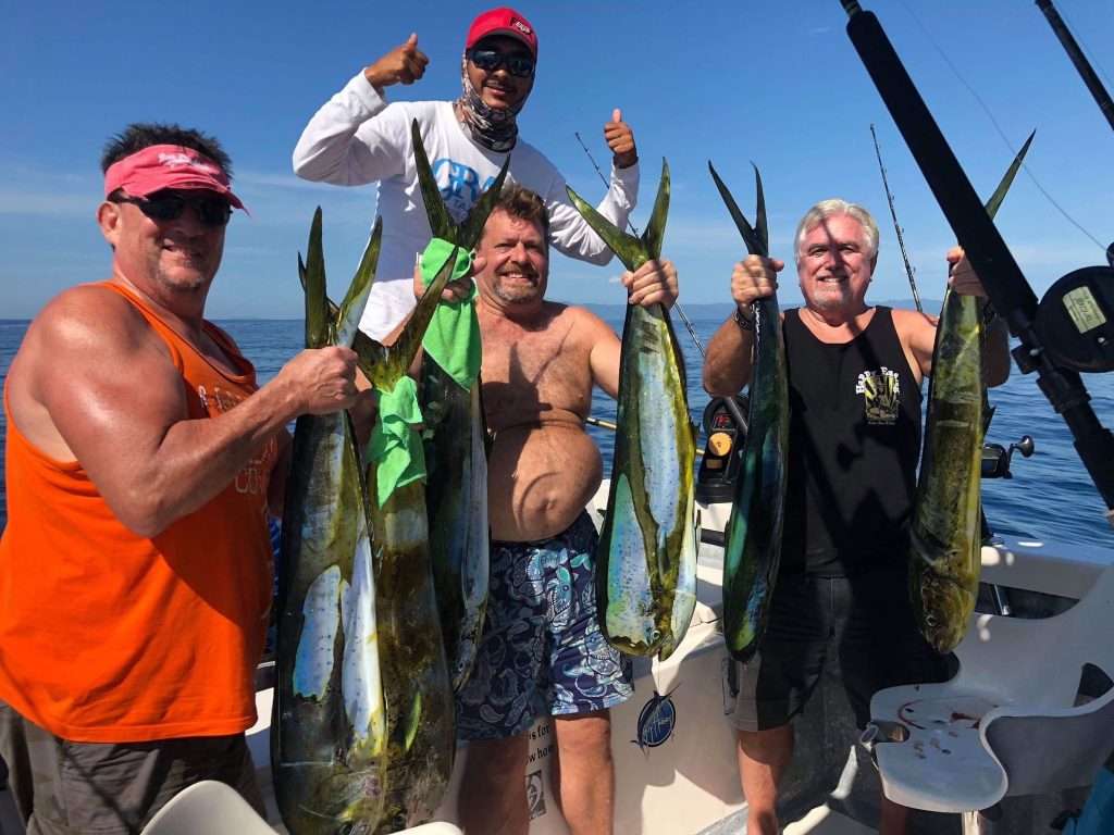 A lot of Dorado in Vallarta,